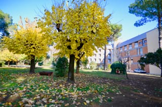 Image of West Residential accommodation